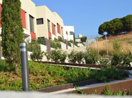 Siembra e hidrosiembras