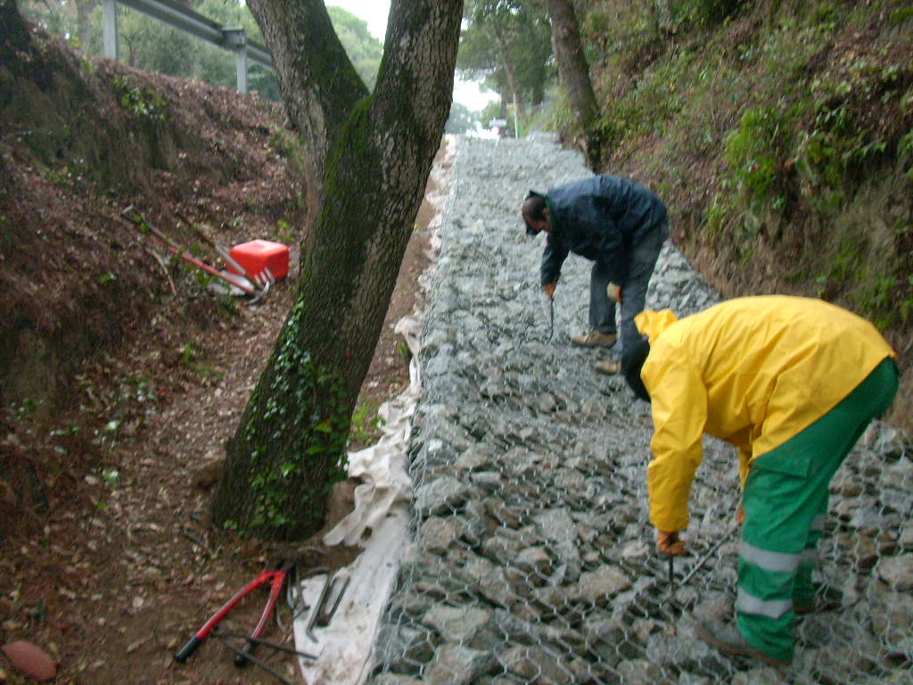 Restauración, ordenación y estabilización de márgenes fluviales, rieras y humedales