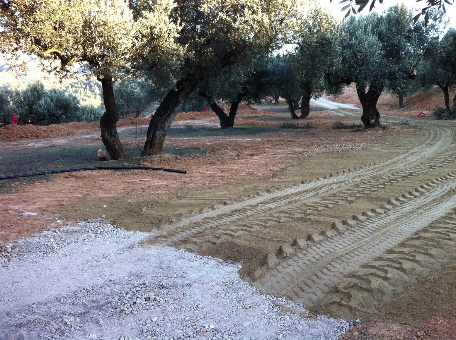 Trabajos de agronomía